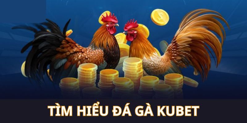 Sảnh game đá gà trên hệ thống soi kèo bậc nhất KUBET