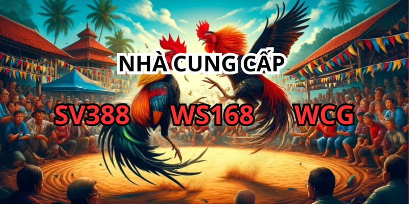 Các nhà cung cấp đá gà trên hệ thống cá cược Kubet